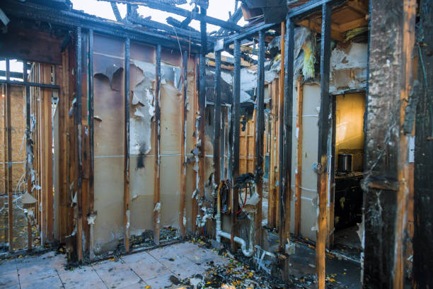 Professional Smoke Damage Removal technician working in Oak Park, MN